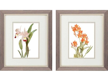 Paragon Florals Floral Beauty-I Wall Art Set of 2
