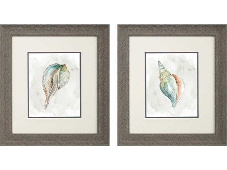 Paragon Waterside Pastel Shell Wall Art Set of 2