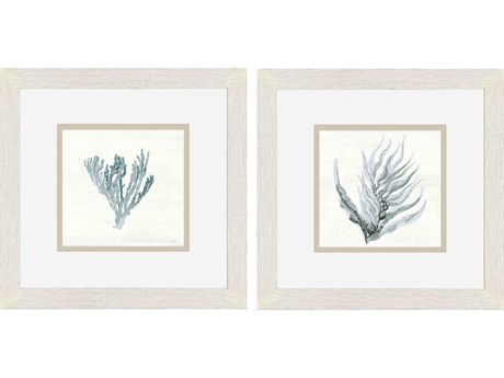 Paragon Waterside Ocean Flora Wall Art Set of 2