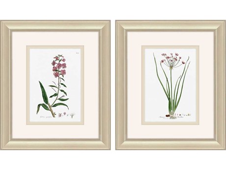 Paragon Rose Botanical Wall Art Set of 2