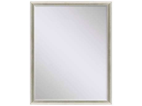 Paragon Beveled Metallic Rectangular Wall Mirror