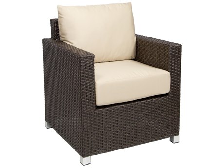 Club Chair in Brown