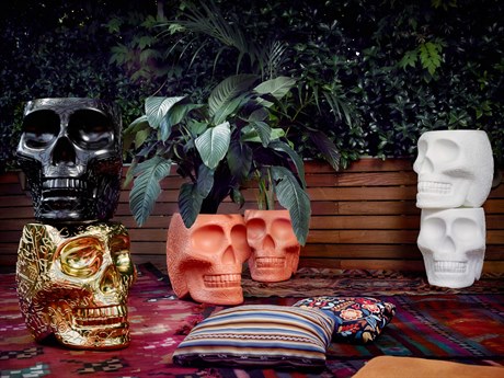 product.Collection