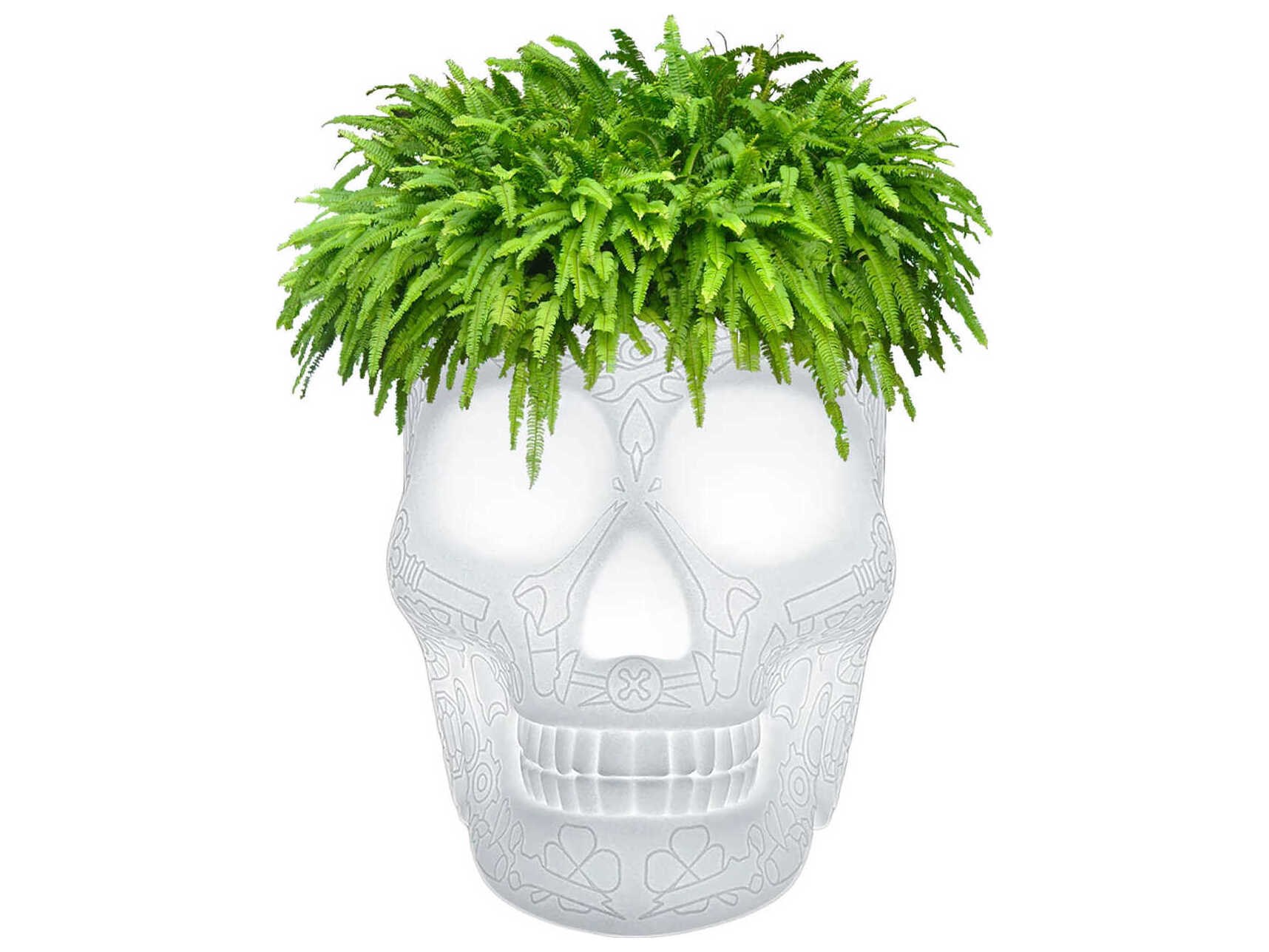 Qeeboo Outdoor Mexico Translucent Planter