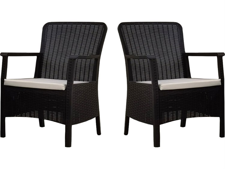 Rainbow Outdoor Napoli Resin Anthracite Dining Arm Chair with Cushion Set of 2