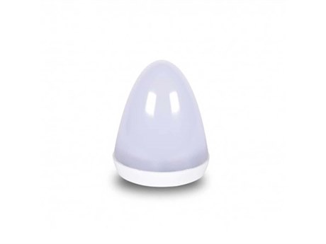 Smart & Green Bulb