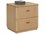 Sunpan Etienne 2-Drawers Oak Wood Nightstand  SPN111314