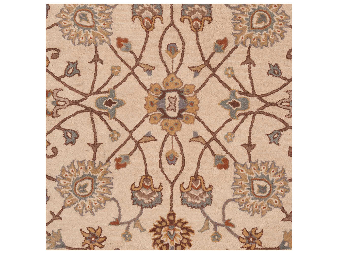 Surya Caesar Floral Area Rug | SYCAE1081SQU