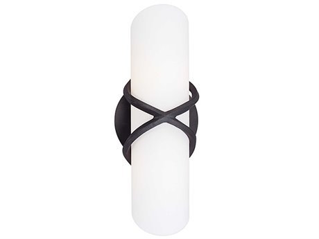 Troy Lighting Roxbury 2-Light Graphite Gray Glass Vanity Light
