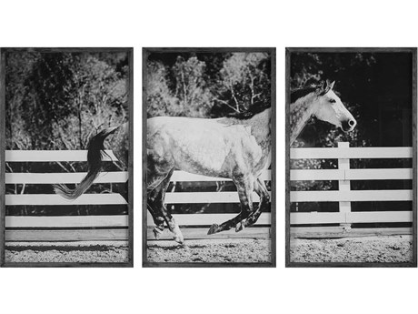 Uttermost Galloping Forward Equine Printed Wall Art Set of 3