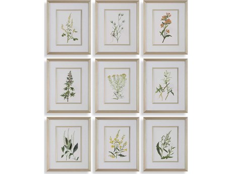 Uttermost Botanical Flowers Framed Prints Set of 9
