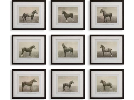 Uttermost Equine Dynasty Framed Prints Set of 9
