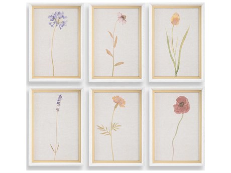 Uttermost Wild Flourish Framed Floral Prints Set of 6