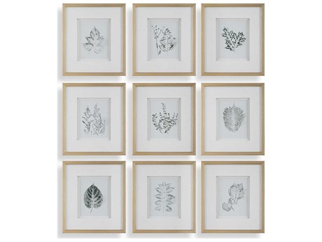 Uttermost Nature's Script Framed Botanical Prints Set of 9