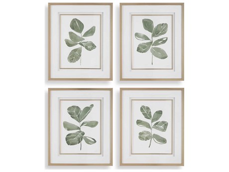 Uttermost Fiddle Head Leaf Botanical Prints Set or 4