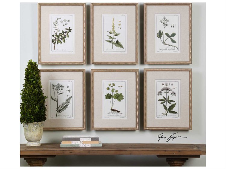 Uttermost Grace Feyock Green Floral Botanical Study Prints Set of 6 ...