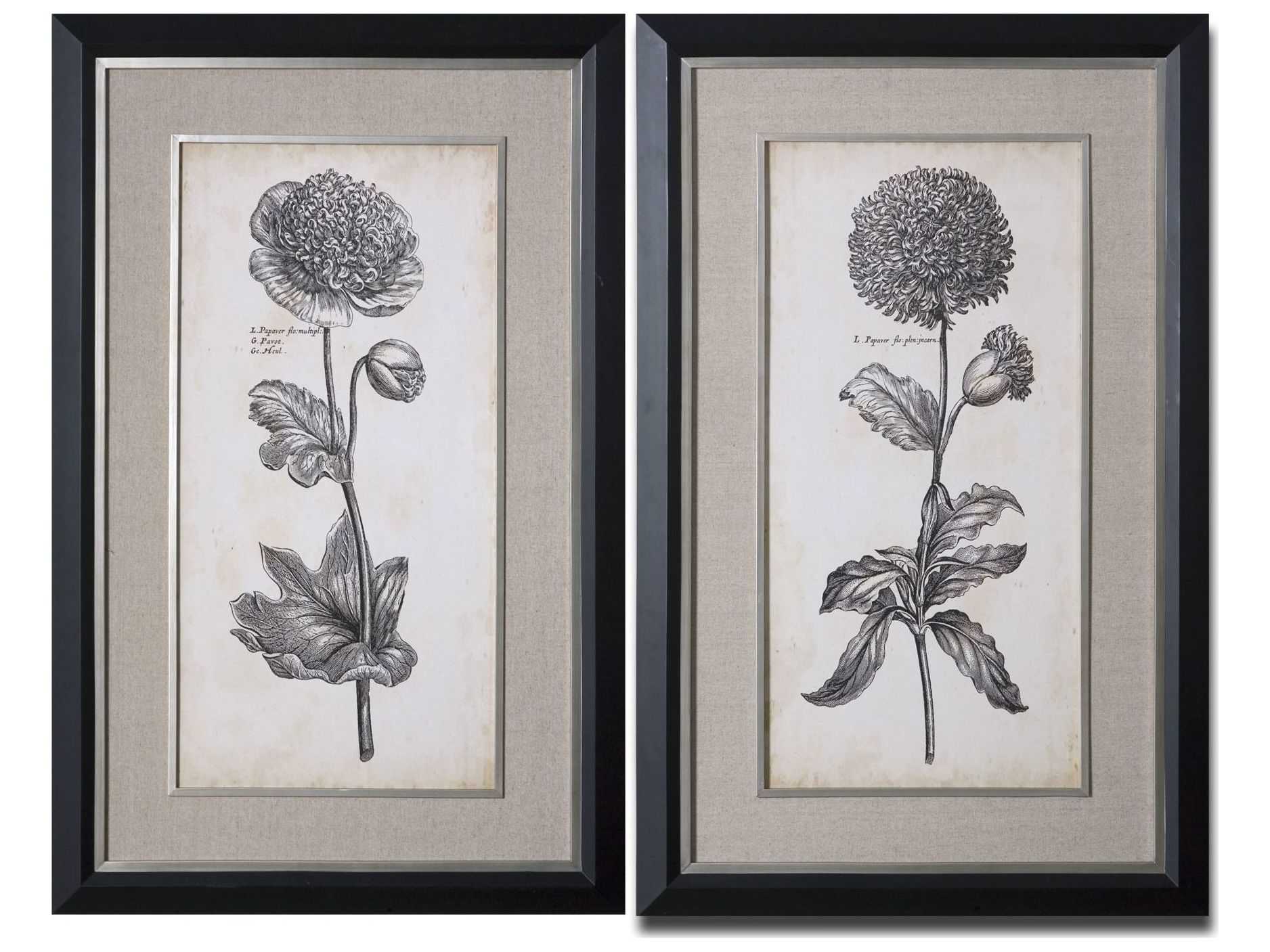 Uttermost Singular Beauty Floral Wall Art (2 Piece Set) | UT41362