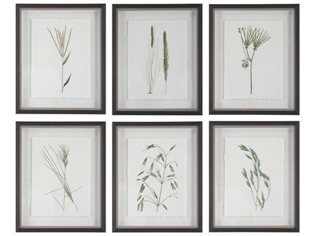 Uttermost Forest Finds Framed Print / Painting Set of 6