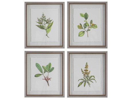 Uttermost Wildflower Study Framed Print / Painting Set of 4