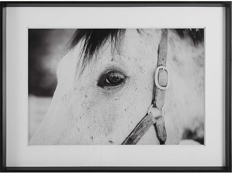 Uttermost Eye Of The Beholder Framed Print