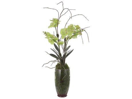Uttermost Valdive Orchid