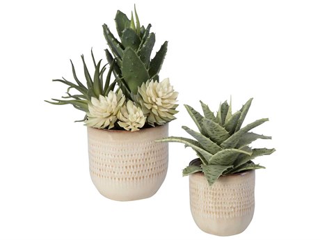 Uttermost Seaside Succulents Set of 2