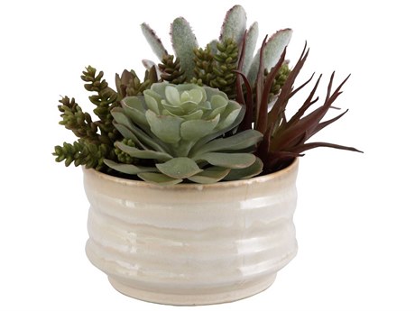 Uttermost Mesa Succulent Accent