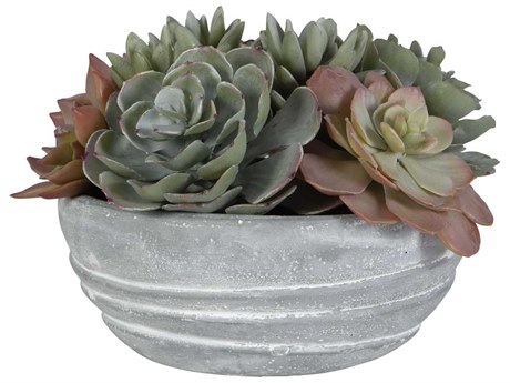 Uttermost Peoria Succulent Accent