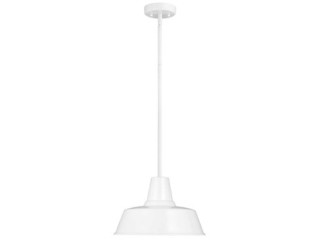 Visual Comfort Studio Barn Light 1 - Light Outdoor Hanging Light