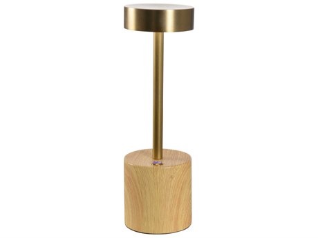 Wildwood Theodore Antique Brass Rechargeable Table Lamp