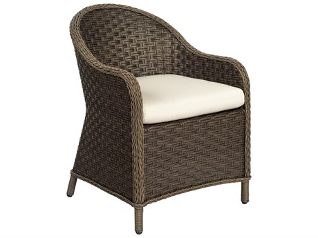 Woodard Closeout Savannah Wicker Dining Arm Chair in Sepia - Frame Only