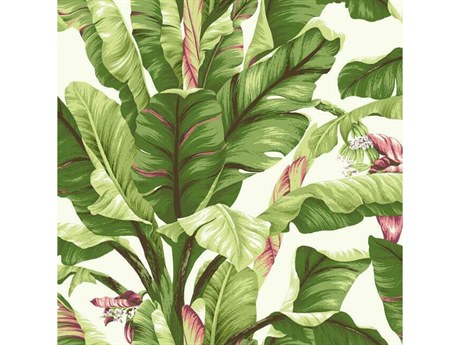 York Wallcoverings Best Sellers Magenta Banana Leaf Wallpaper