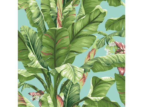 York Wallcoverings Best Sellers White Banana Leaf Wallpaper