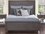 Braxton Culler Naples King Panel Bed  BXC807026