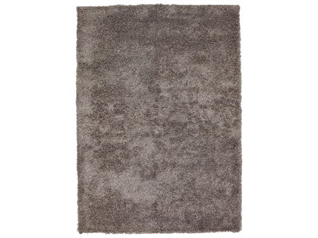 Chandra Barun Shag Area Rug