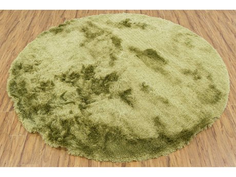 Chandra Naya Shag Area Rug