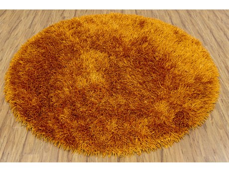 Chandra Tirish Shag Area Rug