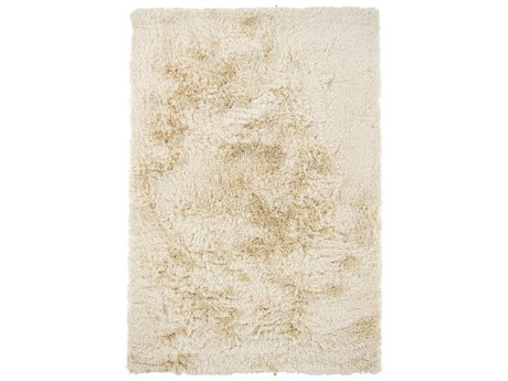 Chandra Vani Shag Area Rug