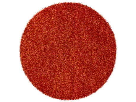 Chandra Zara Shag Area Rug