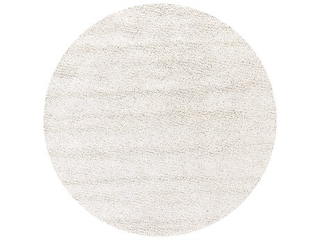 Chandra Zeal Shag Area Rug