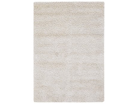 Chandra Zeal Shag Area Rug