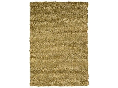Chandra Zeal Shag Area Rug