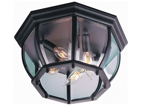 Craftmade Bent Glass Outdoor Ceiling Light