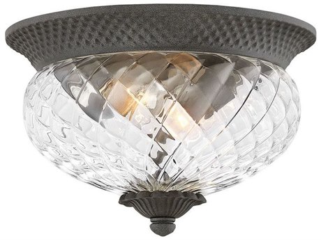 Hinkley Plantation 2 - Light Outdoor Ceiling Light