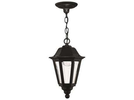 Hinkley Manor House Outdoor Hanging Light