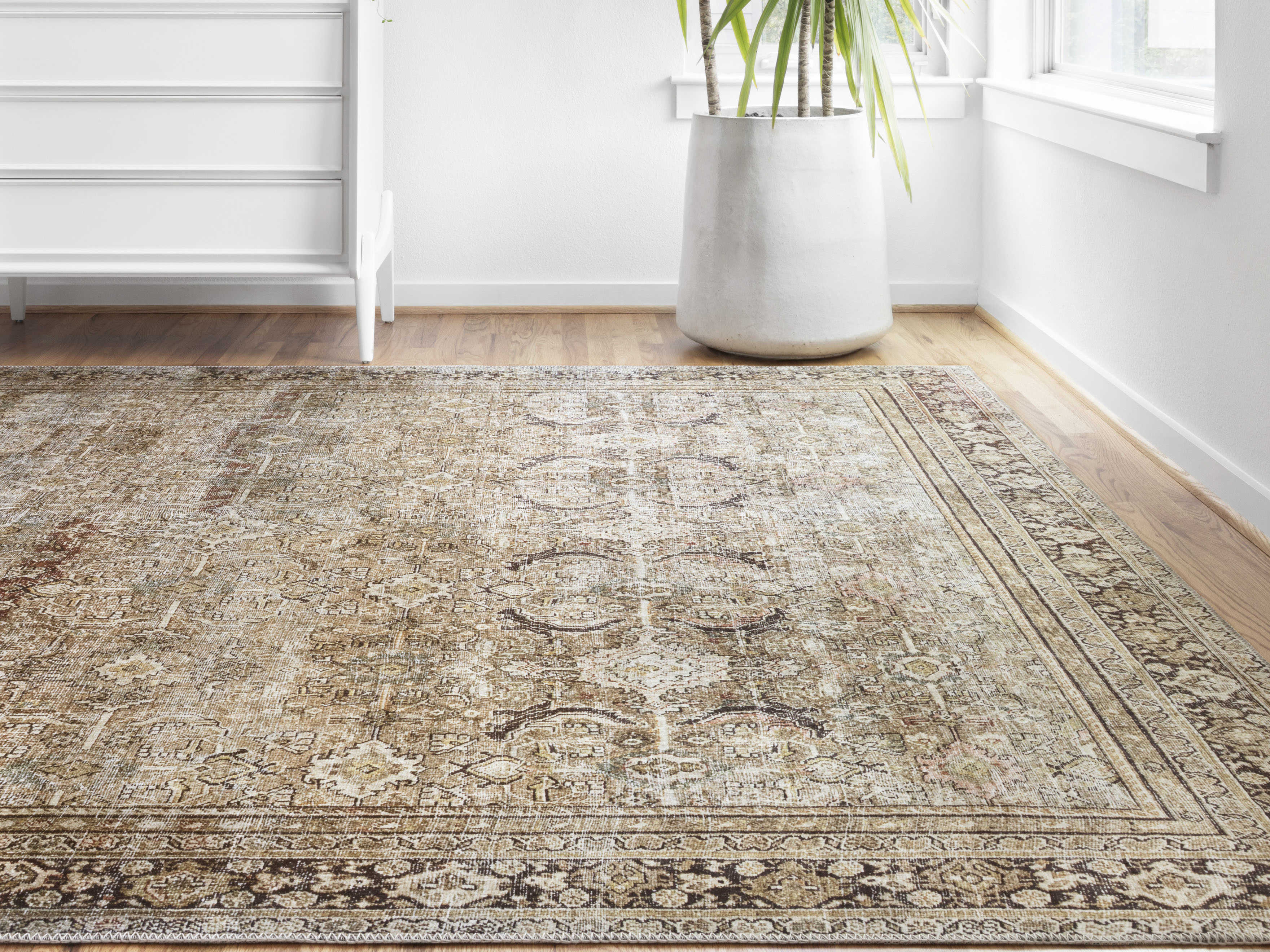 Loloi II Rugs Layla Olive / Charcoal Rectangular Area Rug