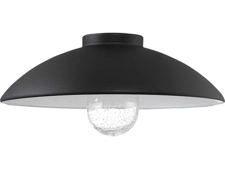 Minka Lavery Rlm Clear Seedy Glass Shade