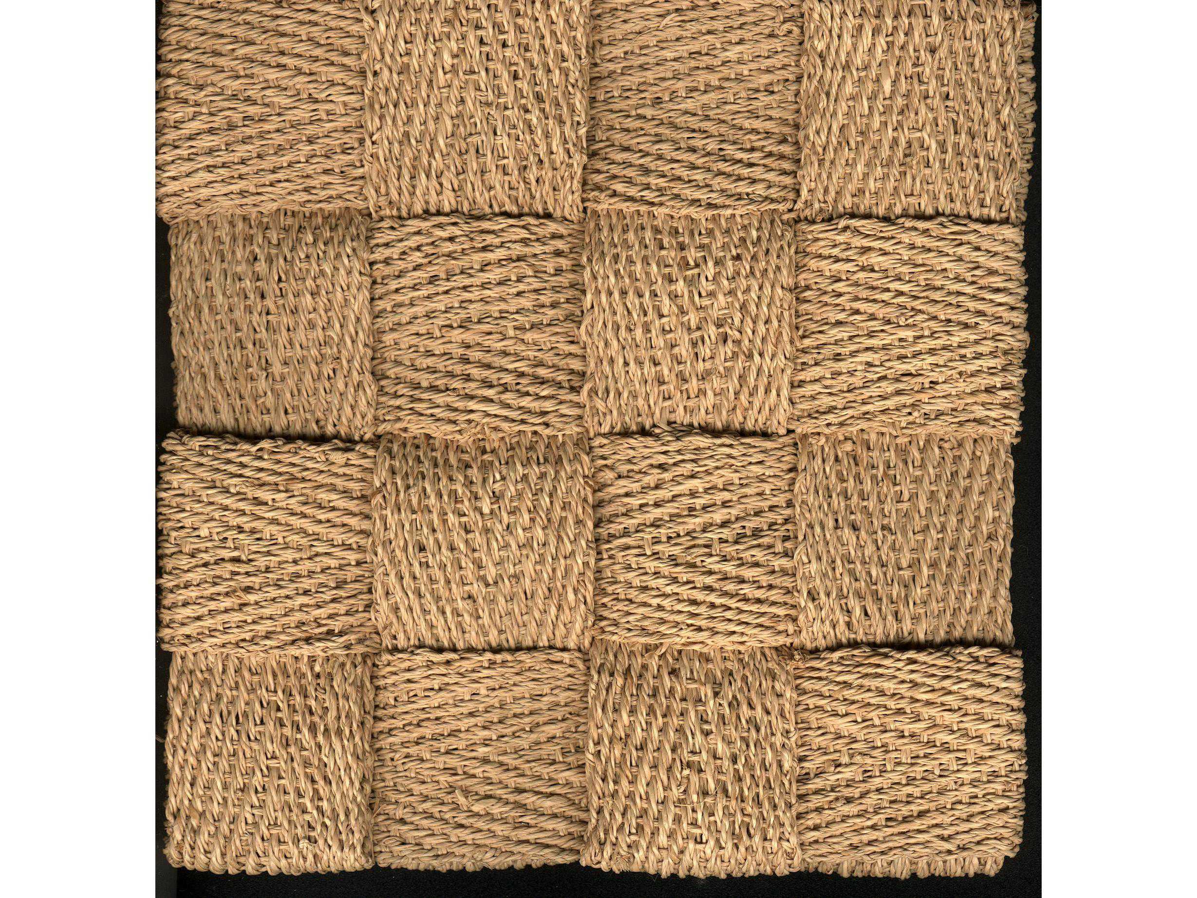 Natural Carpet Company Squire Raffia Rectangular Beige Area Rug