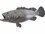 Phillips Collection Silver Leaf Estuary Cod Fish 3D Wall Art  PHCPH64541