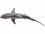 Phillips Collection Polished Aluminum Whaler Shark Fish 3D Wall Art  PHCPH64546
